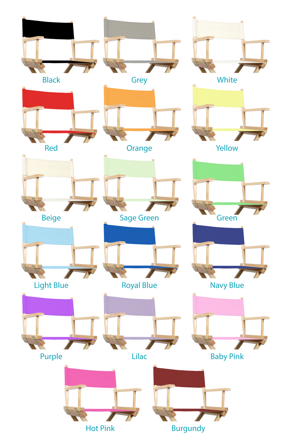 Premium Director Chair and Carry Bag Bundle <p> With a FREE Script Holder!